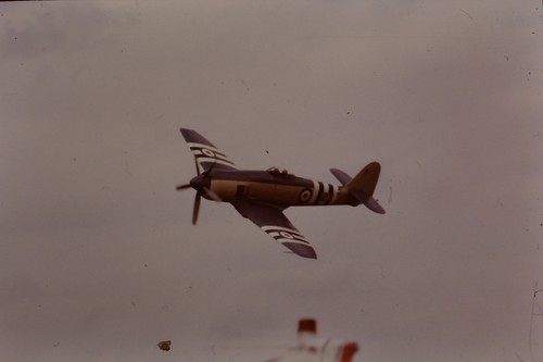 Royal navy hawker - royal, sea