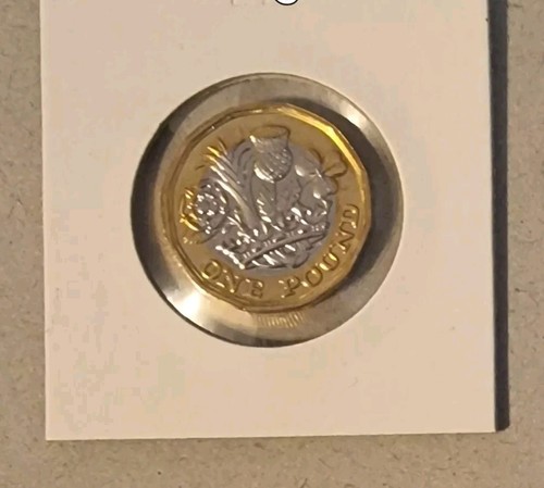 2017 one pound coin floral - £1,