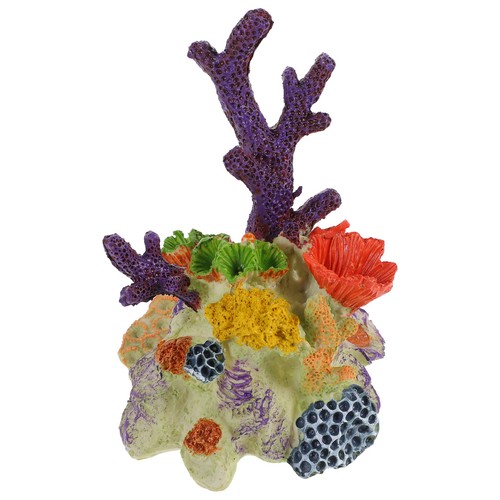Tropical fish tank - fish,
