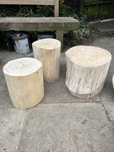 Tree stumps rustic - tree, stools