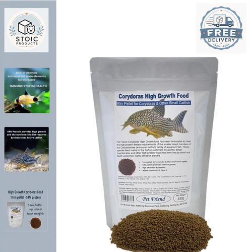 Corydoras catfish high growth - catfish,