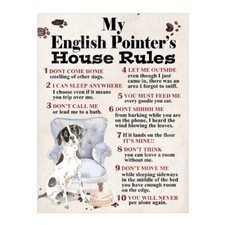  My English Pointer's House