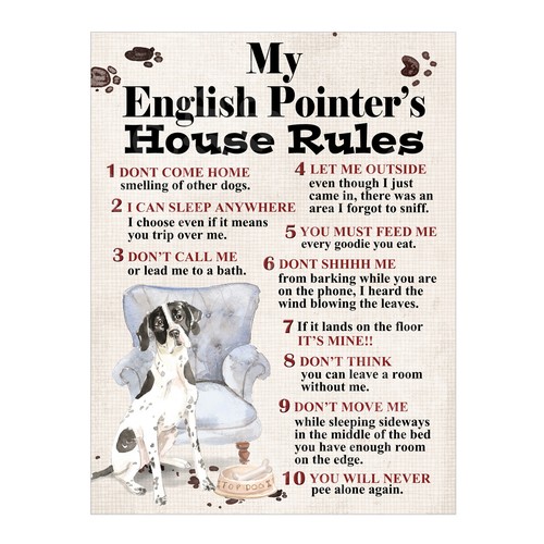 English pointer s house - my,