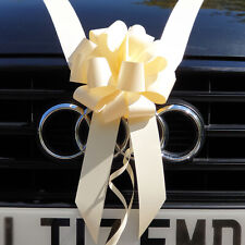 Handmade Plain Wedding Car
