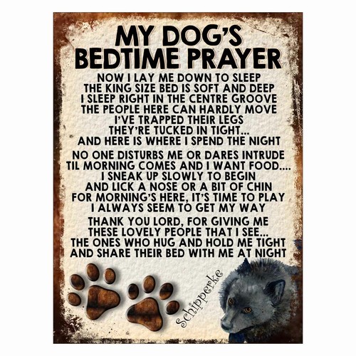 Dog bedtime prayer - my,