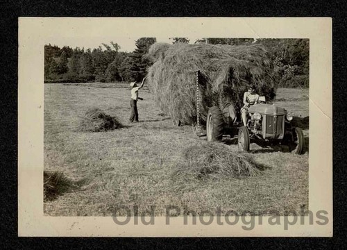 Harvest time vintage farm - vintage,
