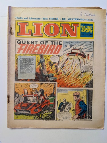 Lion comic 19th february - lion, comic,