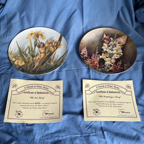 Festival flower fairies - a, of