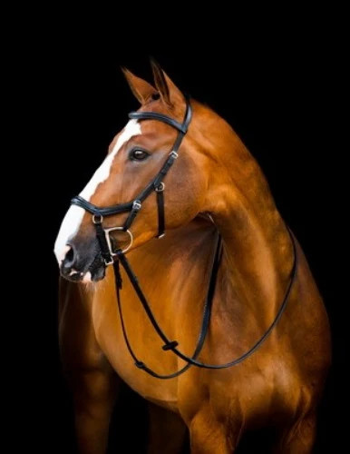Horseware micklem deluxe - horseware,
