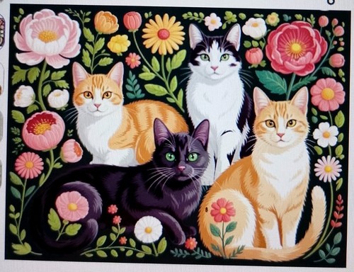 Extra large colourful cats - extra,