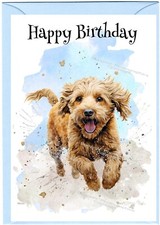 Labradoodle doodle dog - /,