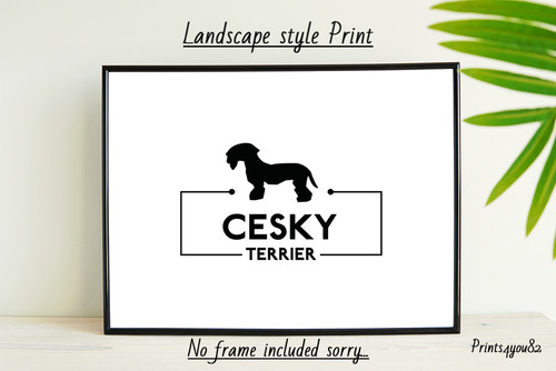 Cesky terrier dog pet - cesky,