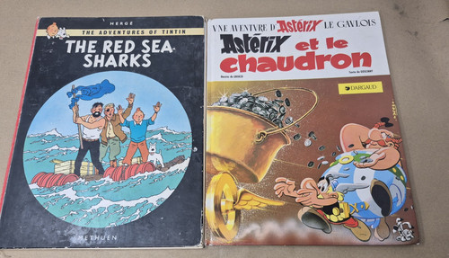 Tintin the red sea sharks - sharks, and