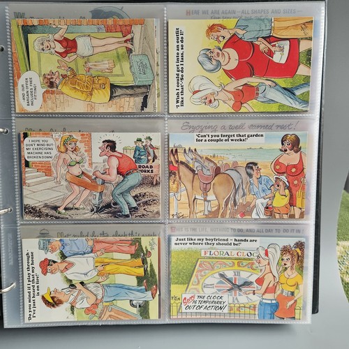 Job lot 261 saucy - lot,