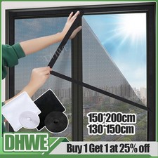 Large White Window Insect