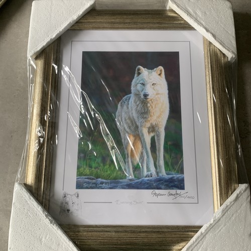 Stephen gayford wolf - gayford,