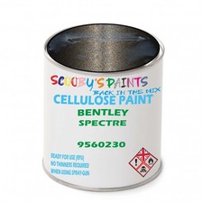 Tinned Celluose Paint Rfu Or