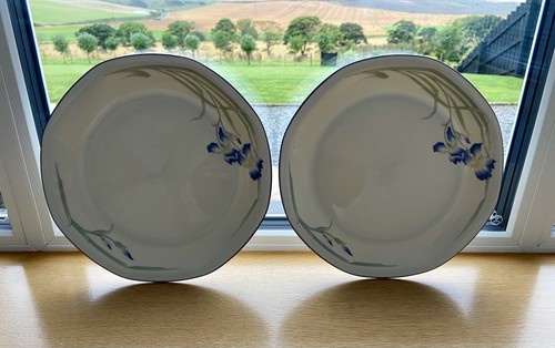 Royal doulton minerva - 2,