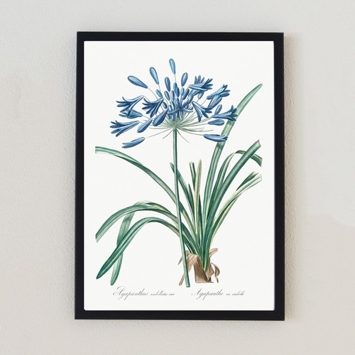 Botanical flower vintage - botanical,