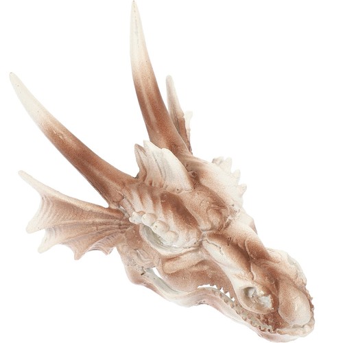 Dragon skull fish - dragon,