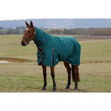 Weatherbeeta Comfitec Classic 220g Turnout Combo Rug - Forest Green/Black