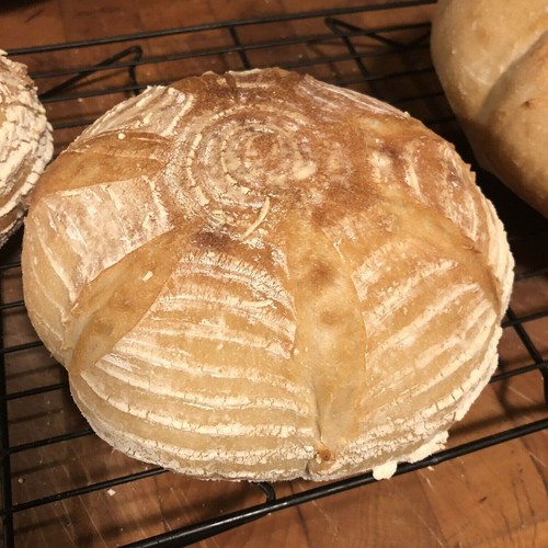San francisco sourdough - san,