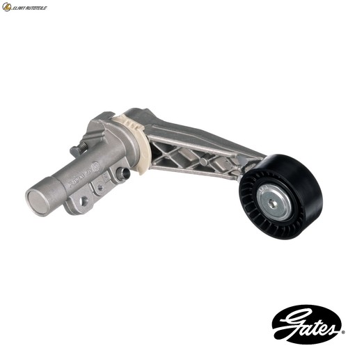 Belt tensioner ribbed - tensioner, v-ribbed