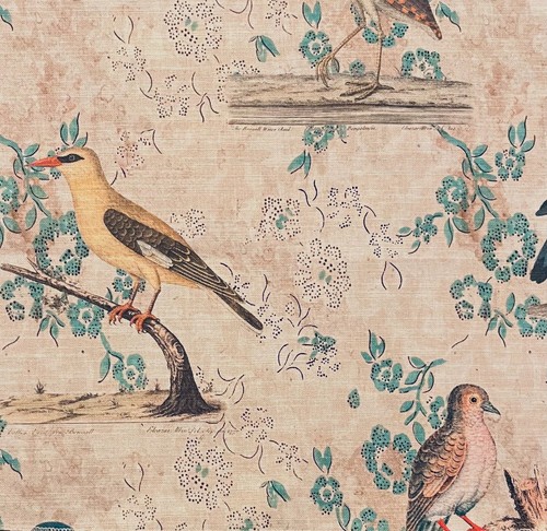 John derian designers - designers, guild