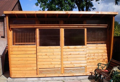 Pigeon loft with - 6,