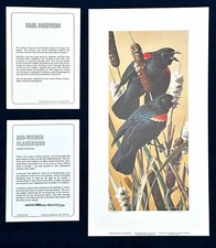 "Red-Winged Blackbirds"