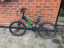 Raleigh Tumult 20 Kids'
