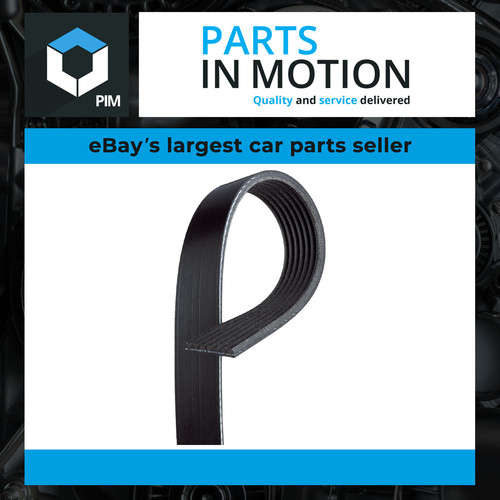 Rib multi drive - rib, belt