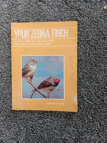 Your zebra finch - zebra,
