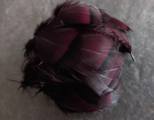Dark claret french partridge - french,
