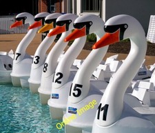 Photo 6x4 The 'Pickie Swans'