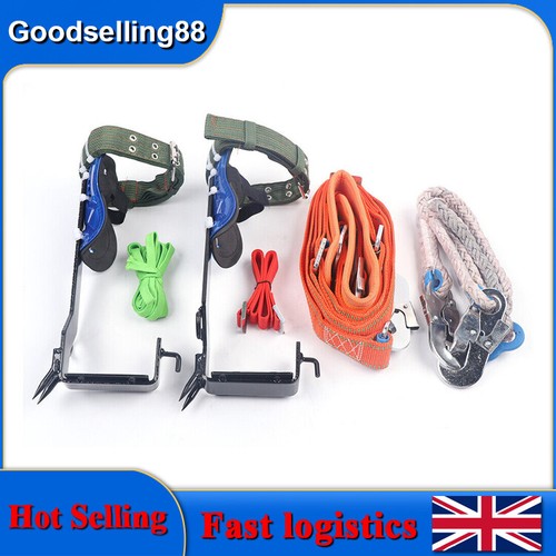 Pair tree pole climbing - tree/pole,