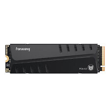 Fanxiang M.2 NVMe 2TB SSD PS5