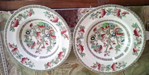 Johnson brothers indian tree - brothers,