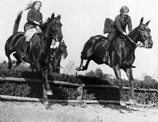 1920's Horses Show Jumping