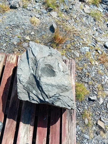 Large garden boulder natural - garden,