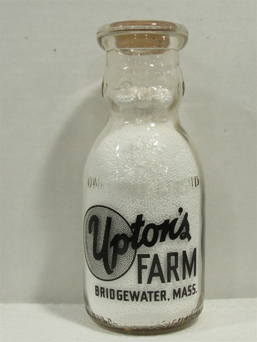 Trppct milk bottle upton - trppct,