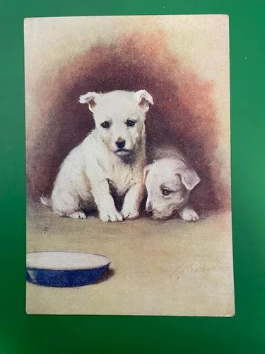 Choice original dogs puppy - dogs,