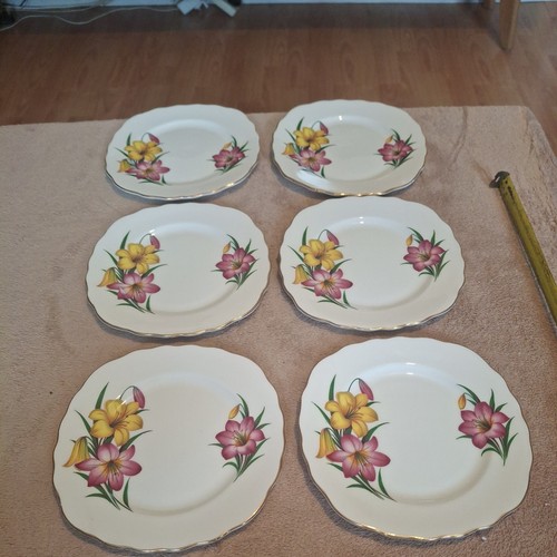 Crown regent flowers lily - crown,