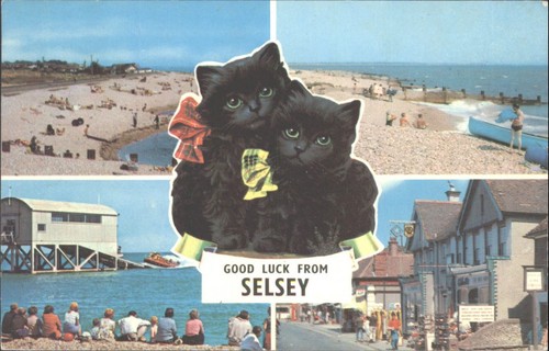 Vintage postcard selsey black - vintage,