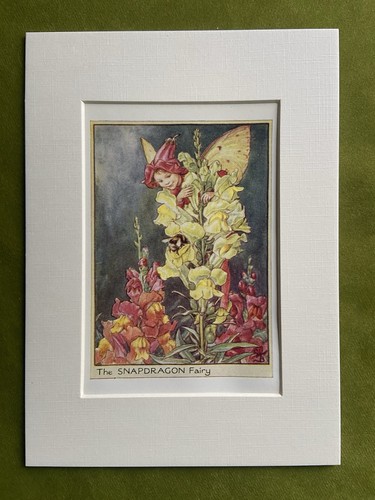 Snapdragon flower fairy - ‘snapdragon’,