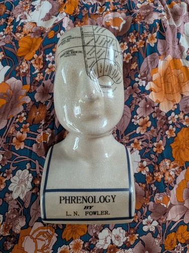 Phrenology head fowler bust - fowler,