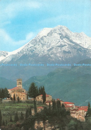 D118150 barga the cathedral - barga.,