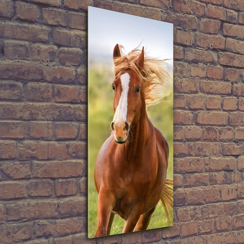 Wall art print perspex - art, on