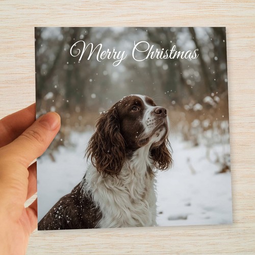 Springer spaniel christmas - spaniel,