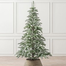 7ft Alpine Fir Christmas Tree